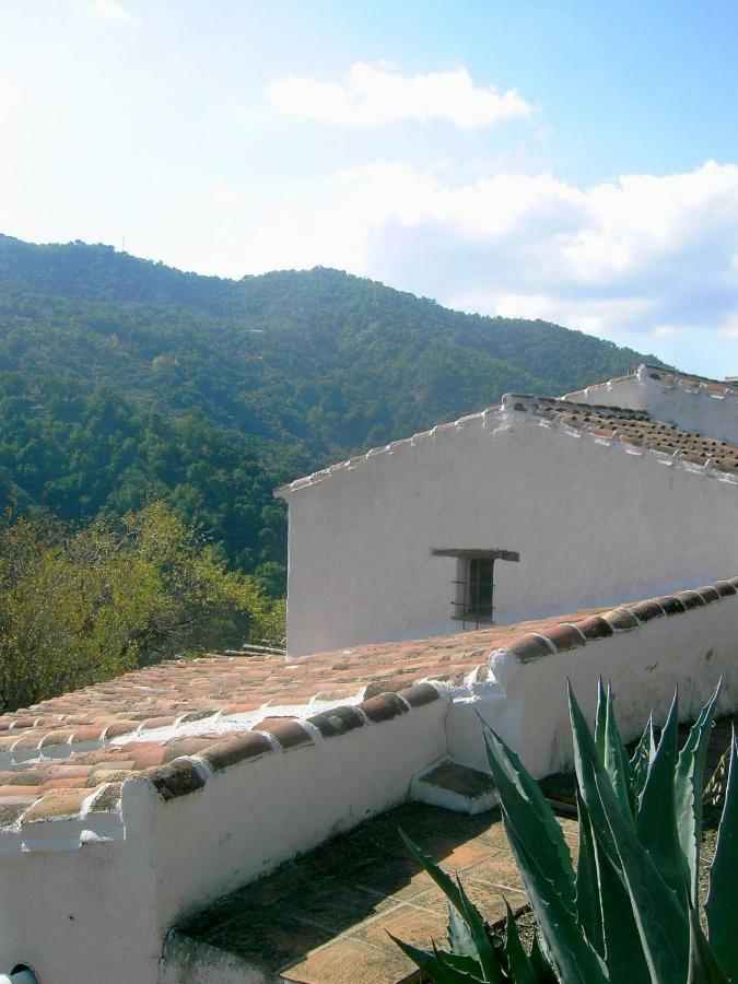 Molino El Pinillo Βίλα Jubrique Εξωτερικό φωτογραφία