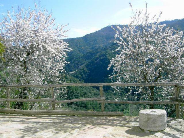 Molino El Pinillo Βίλα Jubrique Εξωτερικό φωτογραφία